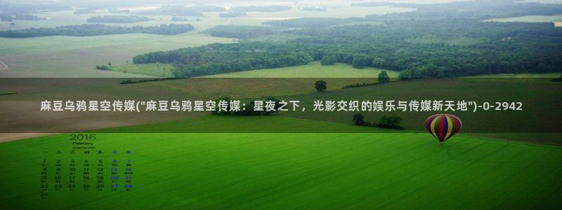 采访星空传媒：麻豆乌鸦星空传媒(\