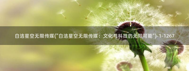 不见星空 传媒：白洁星空无限传媒(\