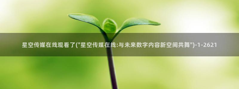 华文星空传媒片头：星空传媒在线观看了(\