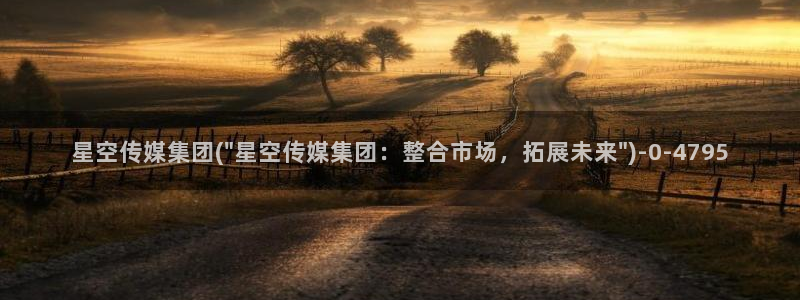 星空娱乐传媒赘婿：星空传媒集团(\