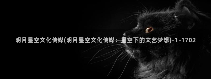 星空传媒女主播：明月星空文化传媒(明月星空文化传媒：星空下的文艺梦想)