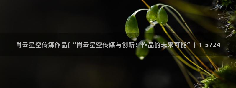 广东盛世星空传媒：肖云星空传媒作品(“肖云星空传媒与创新：作品的未来可能”)