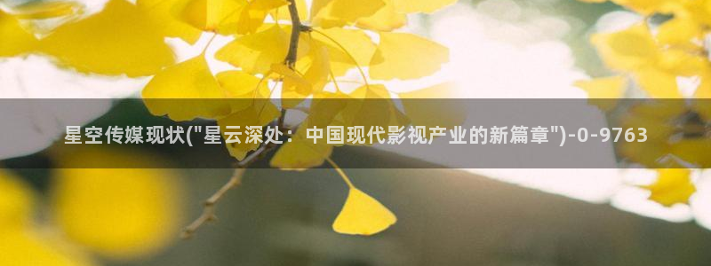 星空传媒名单公布：星空传媒现状(\